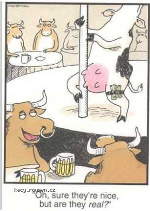 Kravy