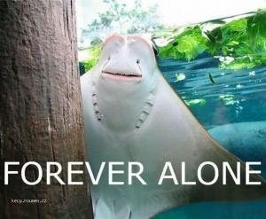 Forever alone 110611