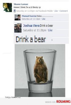 drink a bear