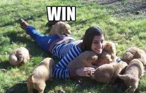 Men 2C dogs they all the Same Epic Win