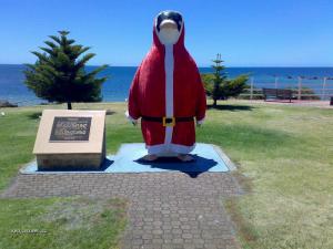 Santa pinguin