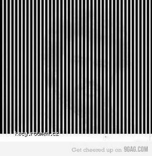 Shake your head fast while looking at this pic