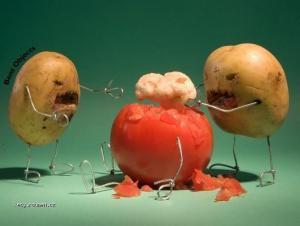 shaved kiwis eatings  tomatos brains