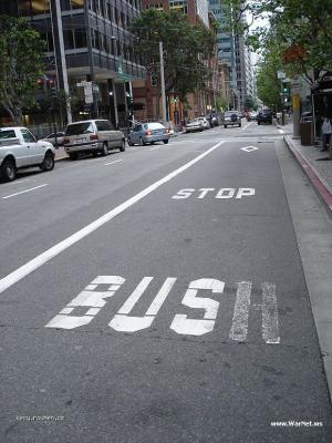 bush stop