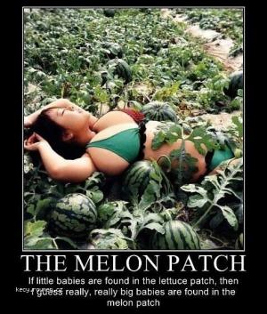 The melon patch
