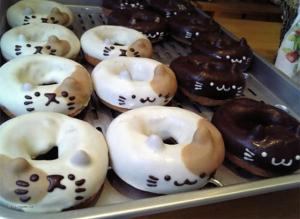 Cat Donuts