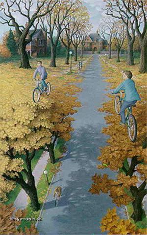 Autumn Cycling
