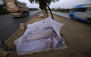 Foto tyzdna  Pakistan  Robotnici spia pri ceste na predmesti