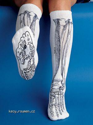 anatomicke ponozky