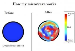 The Microwave works