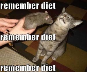X Remember diet