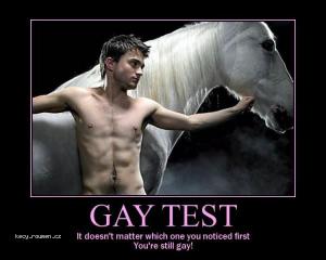 gay test 1