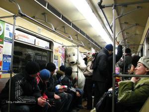 medved v metru