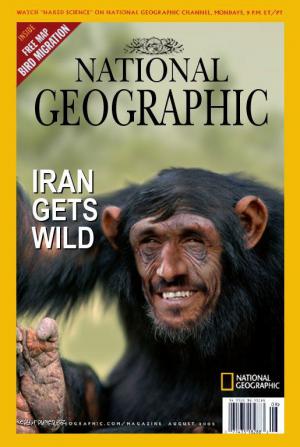 iran gets wild
