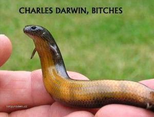 X Charles Darwin 