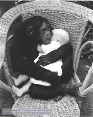 Z historie Opici laska
