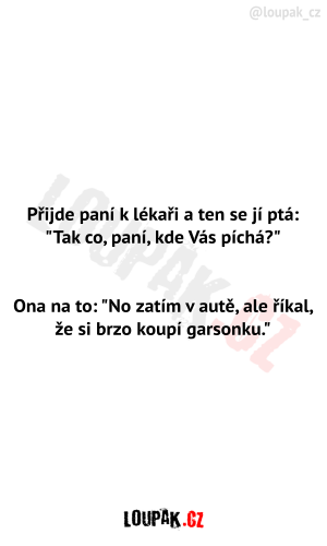 https://media.loupak.fun/soubory/obrazky_n/_vtipy-pribehy/267/1447.png