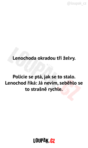 https://media.loupak.fun/soubory/obrazky_n/_vtipy-pribehy/319/2040.png