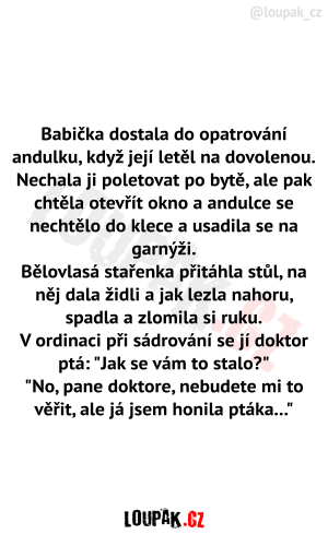 https://media.loupak.fun/soubory/obrazky_n/_vtipy-pribehy/322/2070.png