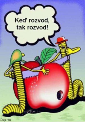 https://media.loupak.fun/soubory/obrazky_n/_vtipy/218/820.jpg