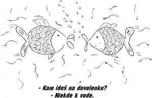 https://media.loupak.fun/soubory/obrazky_n/_vtipy/256/0214.jpg