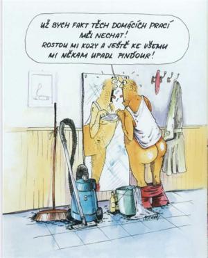 https://media.loupak.fun/soubory/obrazky_n/_vtipy/264/Cermon0240.jpg