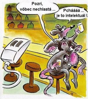 https://media.loupak.fun/soubory/obrazky_n/_vtipy/322/433.jpg
