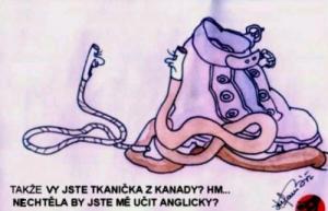 https://media.loupak.fun/soubory/obrazky_n/_vtipy/342/104.jpg