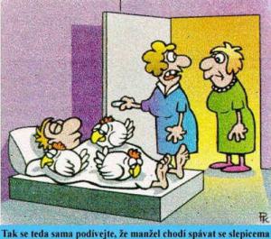 https://media.loupak.fun/soubory/obrazky_n/_vtipy/342/105.jpg