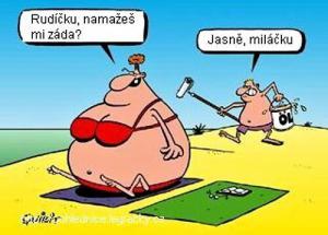 https://media.loupak.fun/soubory/obrazky_n/_vtipy/349/355.jpg