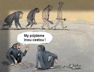 https://media.loupak.fun/soubory/obrazky_n/_vtipy/35/photo481.jpg