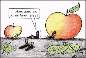https://media.loupak.fun/soubory/obrazky_n/_vtipy/371/329.jpg