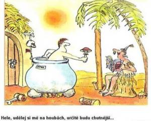 https://media.loupak.fun/soubory/obrazky_n/_vtipy/417/147.jpg