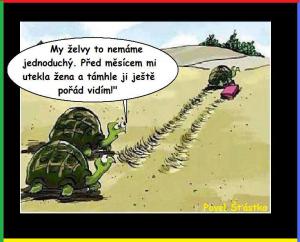 https://media.loupak.fun/soubory/obrazky_n/_vtipy/467/563.jpg