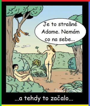 https://media.loupak.fun/soubory/obrazky_n/_vtipy/467/57.jpg