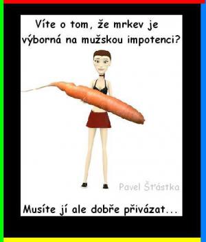 https://media.loupak.fun/soubory/obrazky_n/_vtipy/480/78.jpg