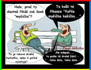 https://media.loupak.fun/soubory/obrazky_n/_vtipy/562/244.jpg