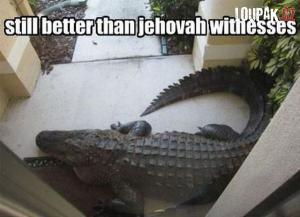 Když máš před domem krokodýla