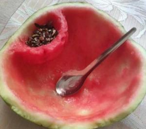 https://media.loupak.fun/soubory/obrazky_n/_zajimavosti/1771/5925.jpg