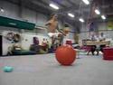  Akrobatický trik s míčem 