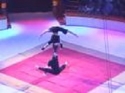  Akrobatické vystoupení - Duo Iroshnikov 