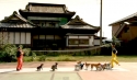  Světový rekord - 13 psů skáče přes lano  