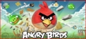  Chuck  Norris  VS Angry birds 