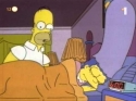  Simpsonovi - Homer kormorán 