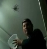  Jak chytit velkého pavouka 