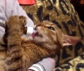  Mňam, mňam, mňam 