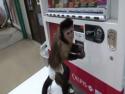  Opička vs. nápojový automat 