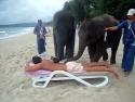  Sloní masáž #2 