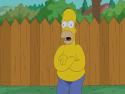  Homer Simpson - ALS Ice Bucket Challenge 