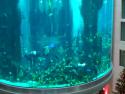        25 metrů vysoké akvárium     
